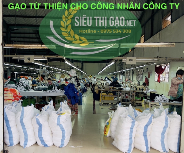 TÌNH HÌNH XUẤT KHẨU GẠO TRONG NƯỚC TIẾP TỤC TĂNG VÀ GIÁ XUẤT KHẨU CŨNG TĂNG MẠNH