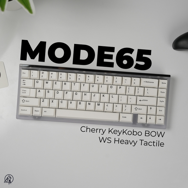 MODE65