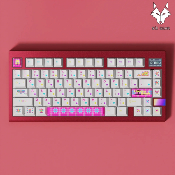 Hướng Dẫn Sử Dụng V81 Plus