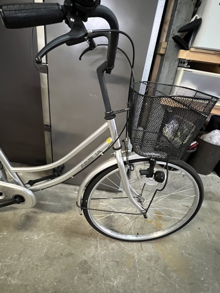 xe đạp mini PVN964