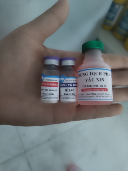 vaccine 3 bệnh trên heo