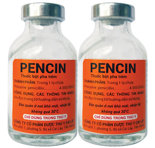 PENCIN 4g 40ml Thuốc bột pha tiêm điều trị viêm vú, viêm khớp, nhiễm trùng huyết