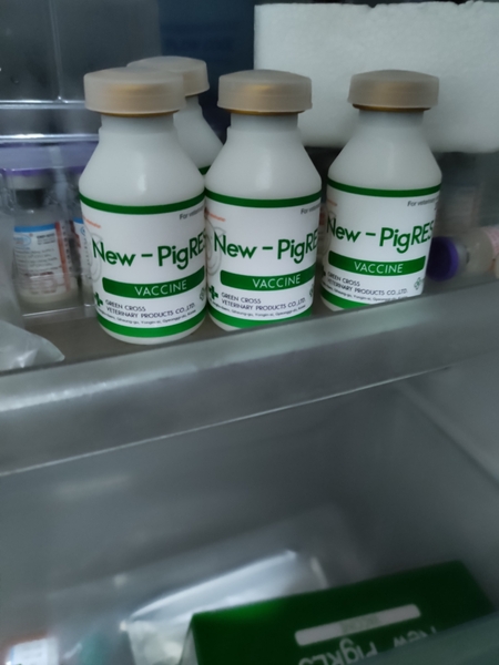 New PigRES 10 liều 20ML vaccine Phòng 6 bệnh hô hấp trên heo  như: viêm teo mũi, truyền nhiễm, tụ huyết  trùng, viêm phổi địa phương viêm đa khớp & đa màng (glasser disease),  viêm phổi dính sườn (APPP) 10 liều