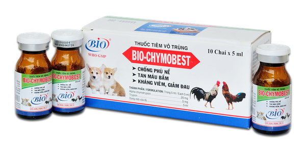 BIO CHYMOBEST thuốc tiêm vô trùng chống phù nề, tan máu bầm, kháng viêm, giảm đau trên chó, gia cầm