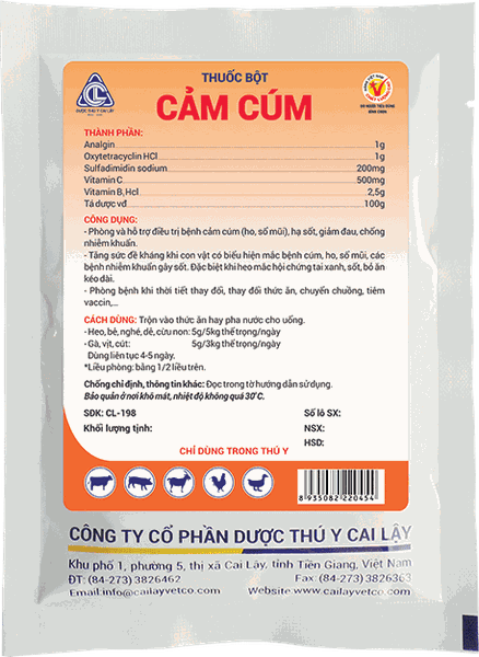 CẢM CÚM Thuốc bột phòng và hỗ trợ điều trị bệnh cảm