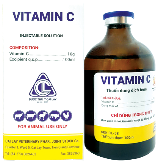 VITAMIN C 100ML Thuốc dung dịch tiêm tăng sức đề kháng