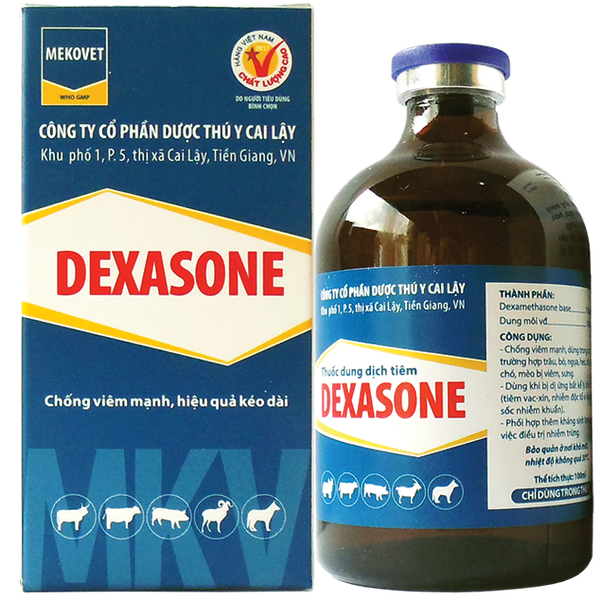 DEXASONE Thuốc dung dịch tiêm chống viêm mạnh