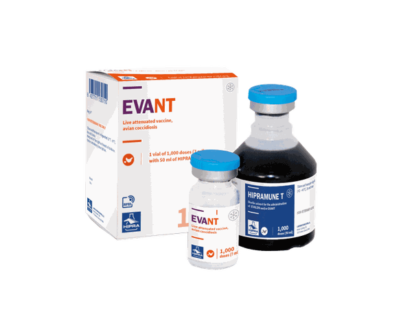 EVANT vắc xin cầu trùng sống nhược độc cho gà