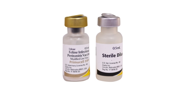 PRIMUCELL FIP 1 liều vaccine phòng bệnh viêm phúc mạc ở mèo