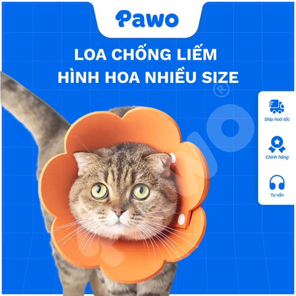 PK - Loa chống liếm bông hoa