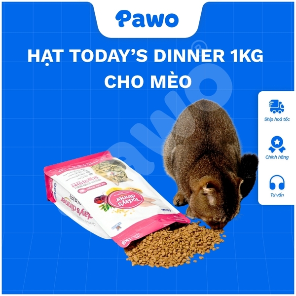 Hạt Cho Mèo Today Dinner Túi 1kg Nguyên Seal - Dành cho mèo mọi lứa tuổi PAWO