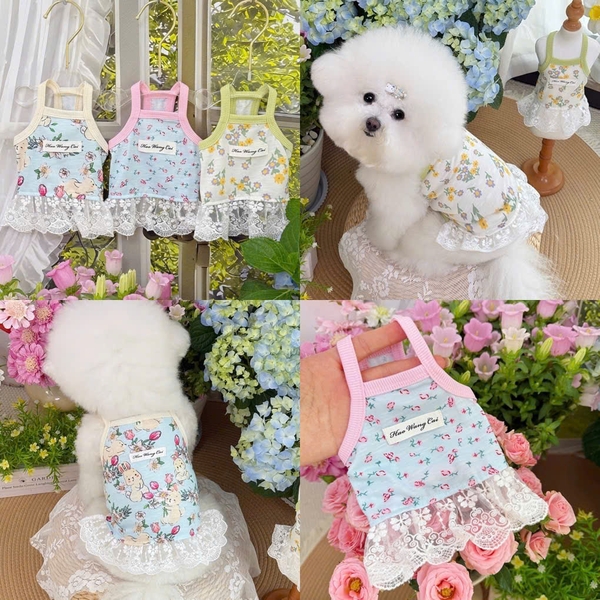 [ Có sẵn] Áo chó mèo nhiều size nhiều mẫu PAWO