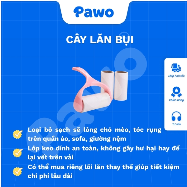 Cây lăn bụi - PAWO