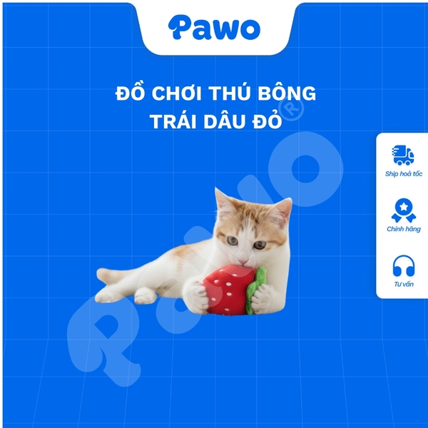 Đồ chơi thú bông trái dâu đỏ - PAWO