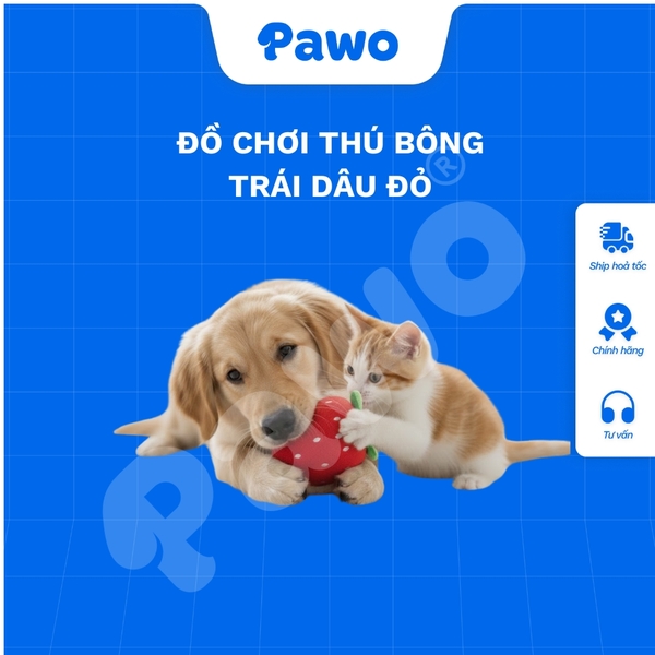 Đồ chơi thú bông trái dâu đỏ - PAWO