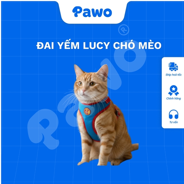 Đai yếm Lucy cho chó mèo - PAWO