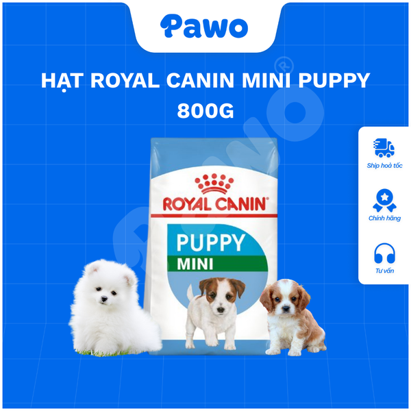 Hạt Royal Canin Mini PUPPY & ADULT - PAWO