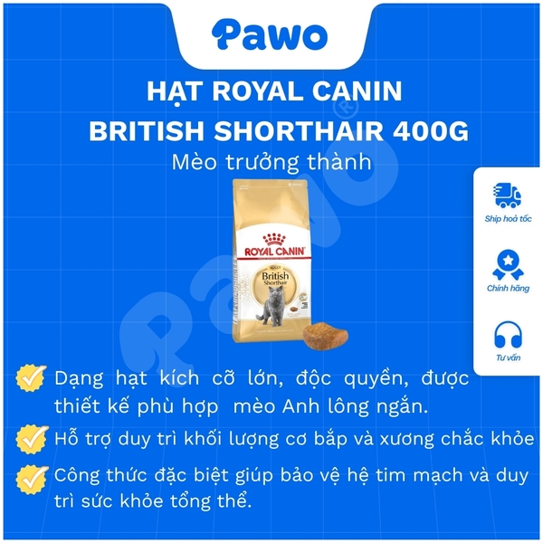 Hạt Royal Canin British Shorthair