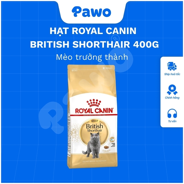 Hạt Royal Canin British Shorthair