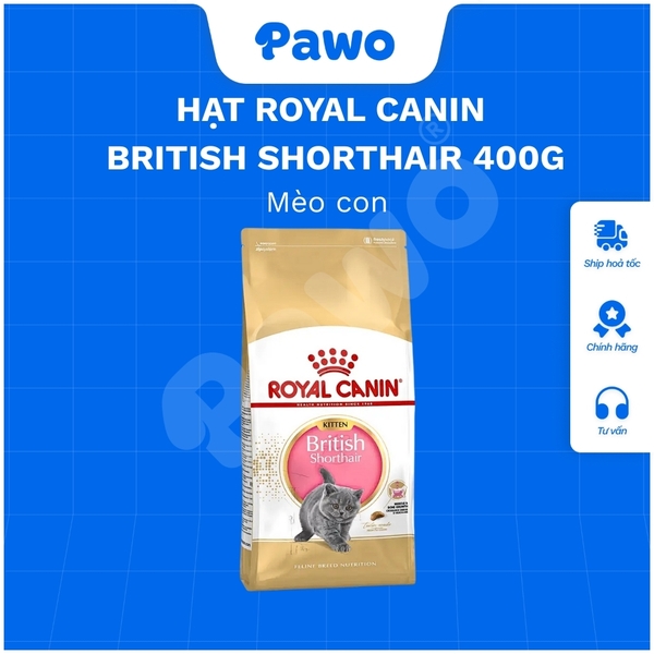 Hạt Royal Canin British Shorthair