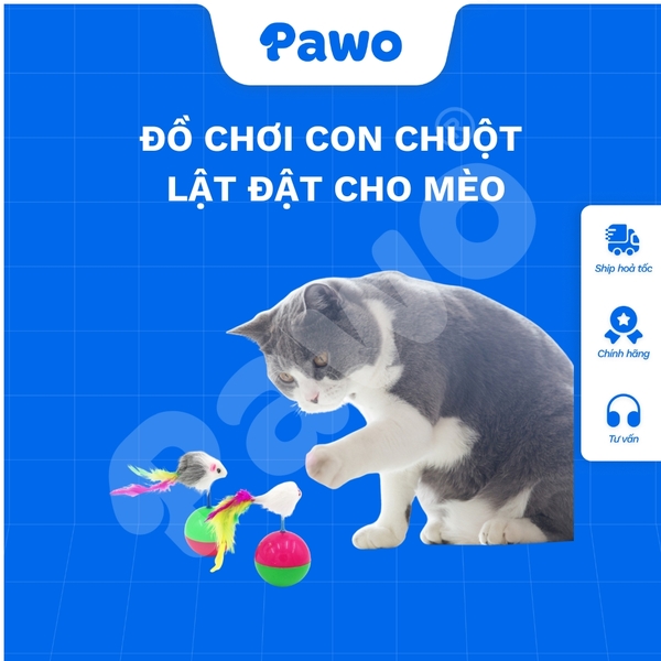 Đồ chơi con chuột lật đật cho mèo