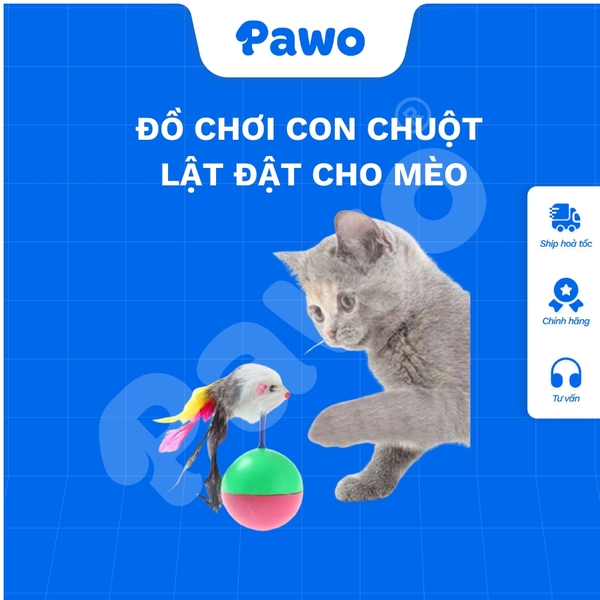 Đồ chơi con chuột lật đật cho mèo