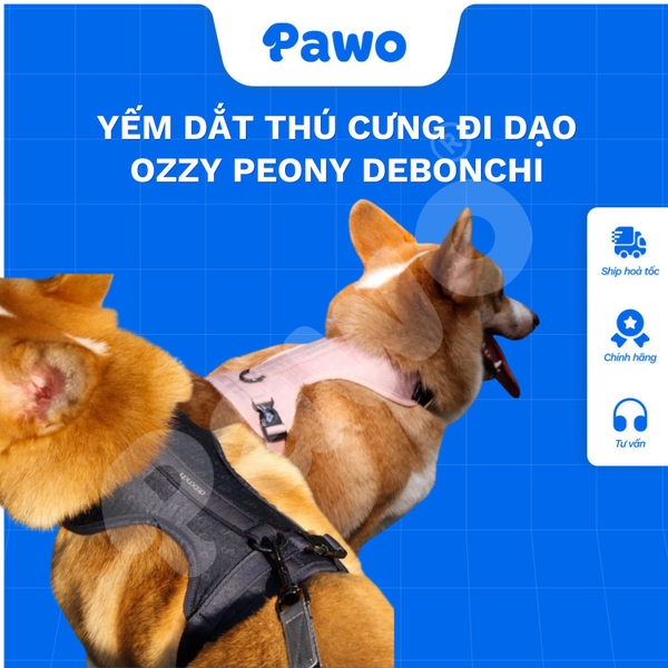 Yếm dắt thú cưng đi dạo Ozzy Peony debonchi | PAWO