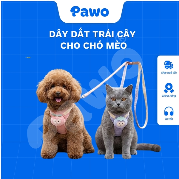 Dây dắt trái cây cho thú cưng - PAWO