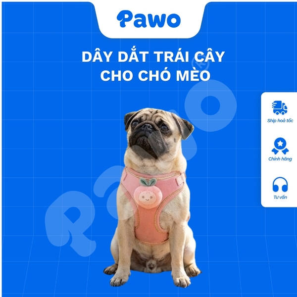 Dây dắt trái cây cho thú cưng - PAWO