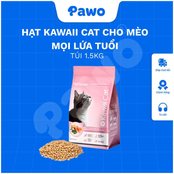 Hạt Kawaii Cat cho mèo mọi lứa tuổi