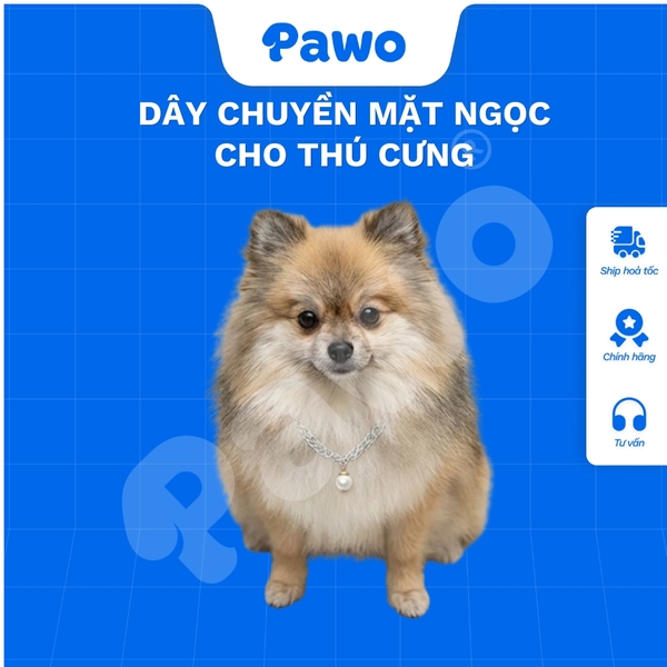 Dây chuyền mặt ngọc cho thú cưng - PAWO