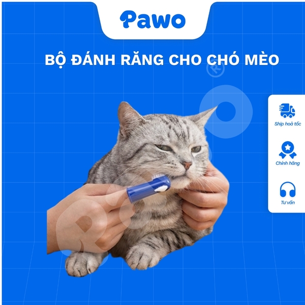 Bộ Đánh Răng Cho Chó Mèo PAWO