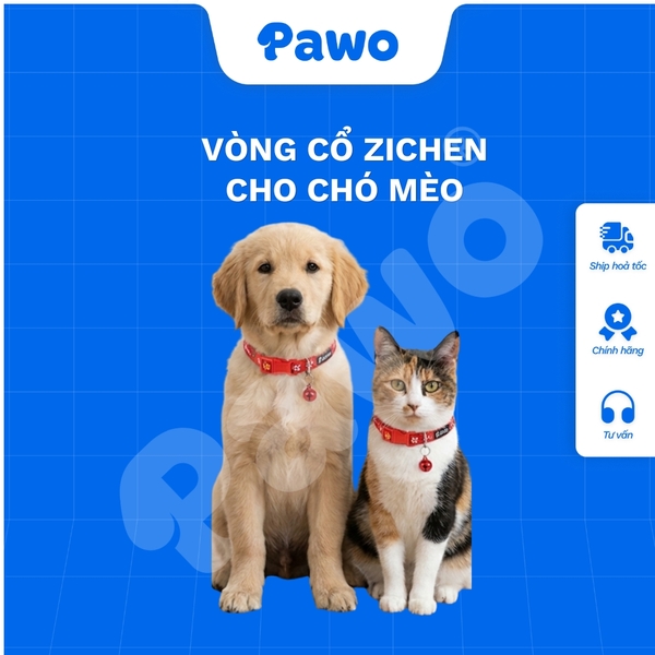 Vòng cổ Zichen cho thú cưng - PAWO