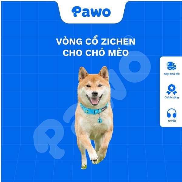 Vòng cổ Zichen cho thú cưng - PAWO