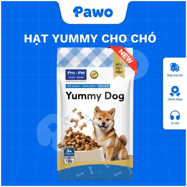 Hạt Yummy Dog PAWO