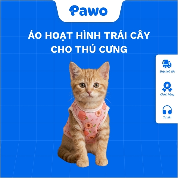 Áo ba lỗ họa tiết hoạt hình, trái cây PAWO