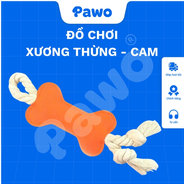 PK-Xương thừng T&D