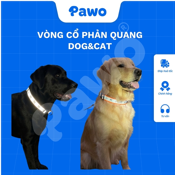Vòng cổ phản quang Dog&Cat cho thú cưng - PAWO