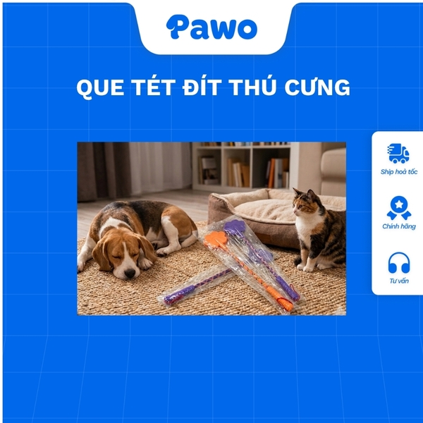 Que tét đít ai hư thì bị phạt - PAWO