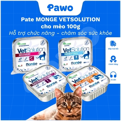 Pate Monge VetSolution cho mèo 100g | PAWO