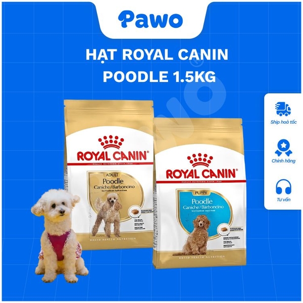 Hạt Royal Canin Dành Cho Poodle PAWO