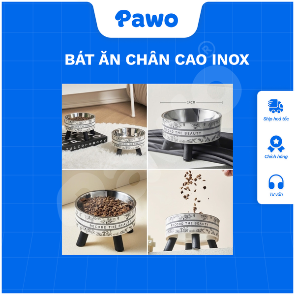 Bát ăn chân cao + inox
