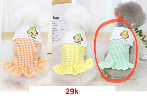 Đầm Kaki cổ trắng