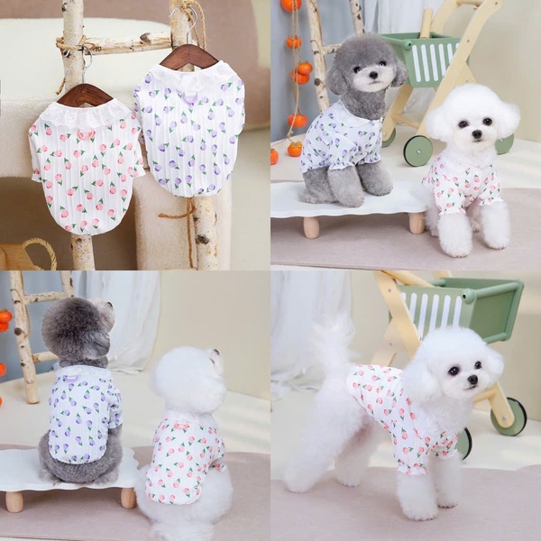 [ Có sẵn] Áo chó mèo nhiều size nhiều mẫu PAWO