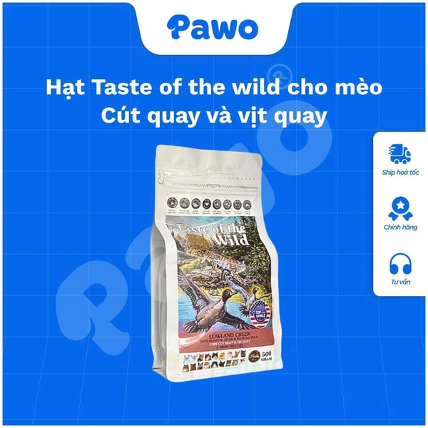 Hạt Taste of the wild cho mèo túi 500g | PAWO