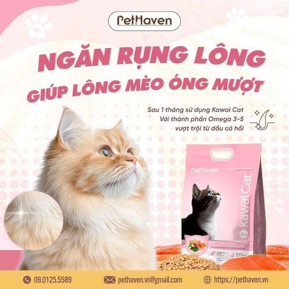 Hạt Kawaii Cat cho mèo mọi lứa tuổi