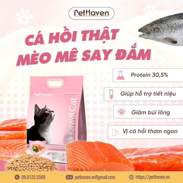 Hạt Kawaii Cat cho mèo mọi lứa tuổi