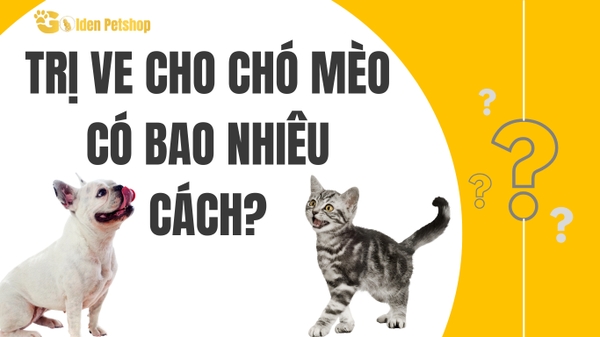 Trị ve cho chó mèo như thế nào?