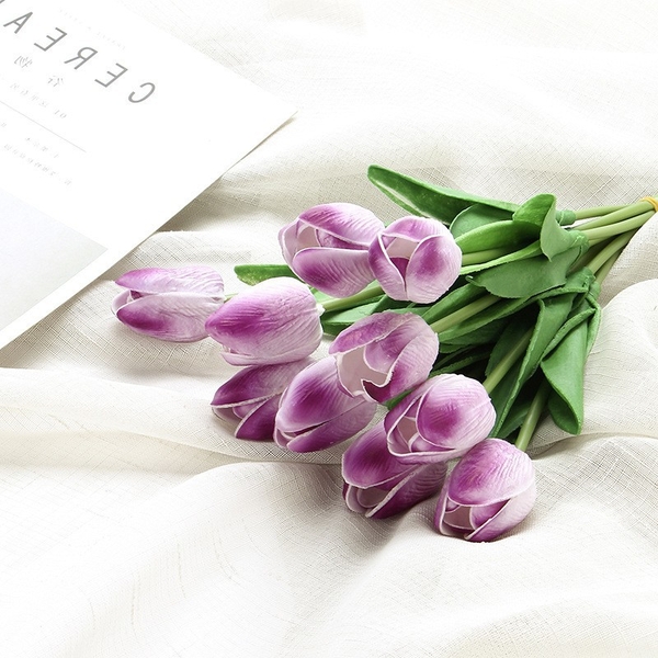 Hoa Tulip - Tím
