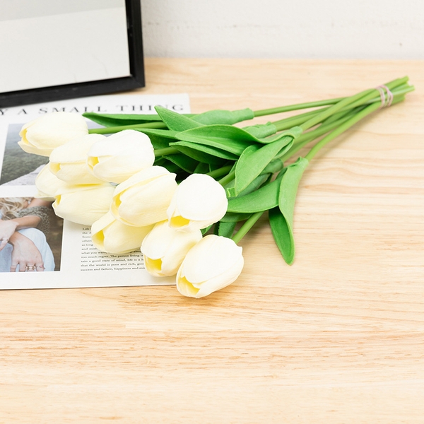 Hoa Tulip - Trắng sữa